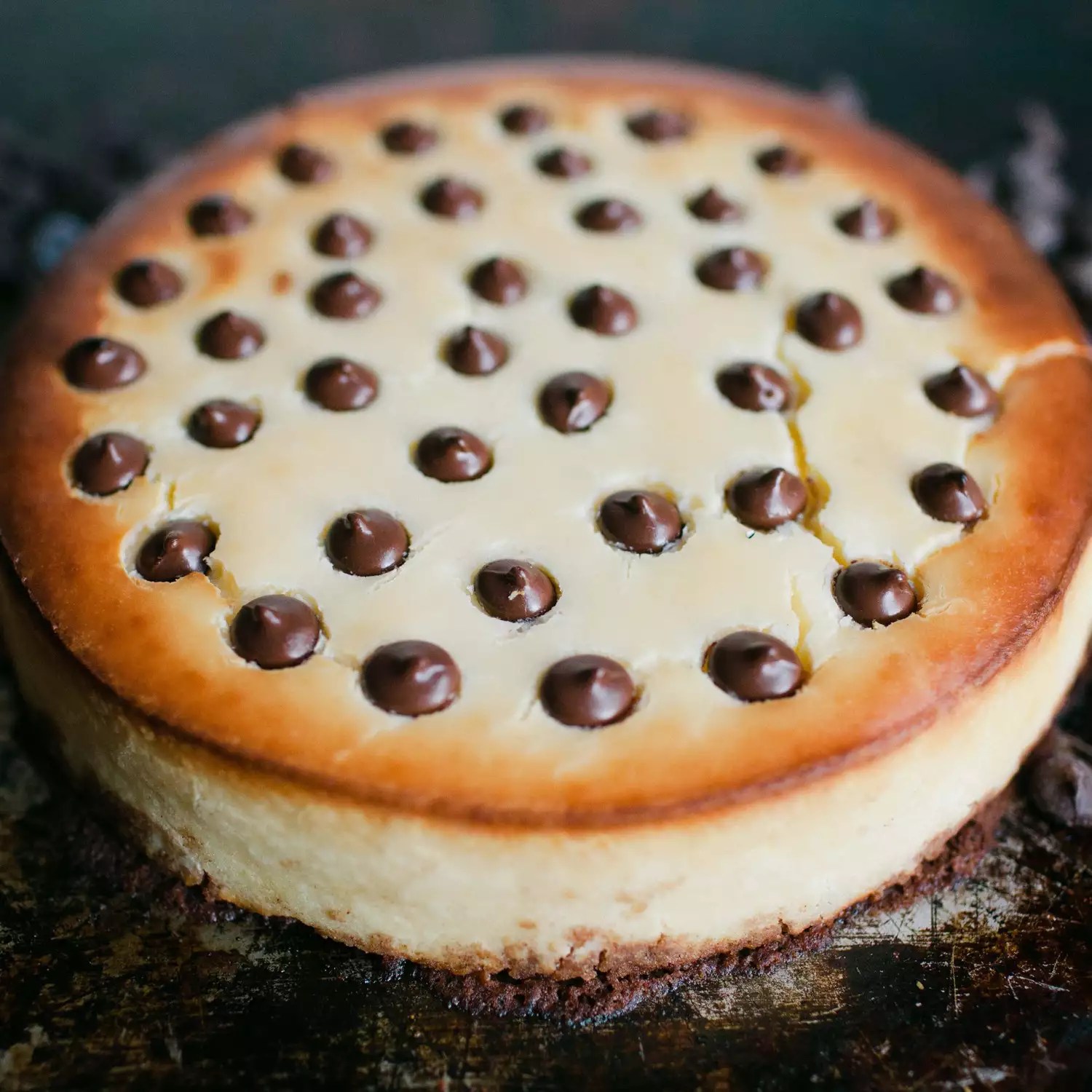 Ultimate Chocolate Chip Cheesecake: The Perfect Indulgence!