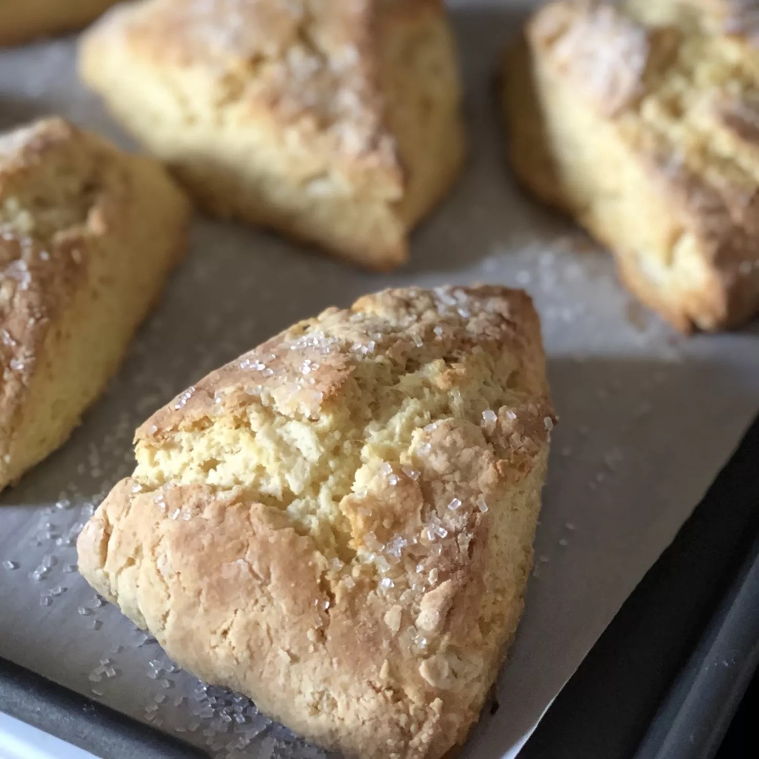 Outrageously Delicious Scone Recipe – Prepare to Be Amazed!