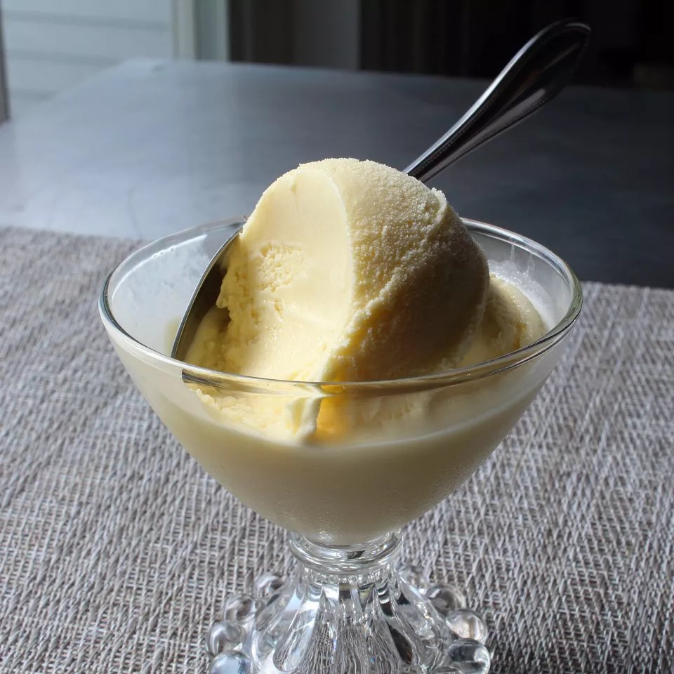 The Ultimate Frozen Vanilla Custard Recipe!