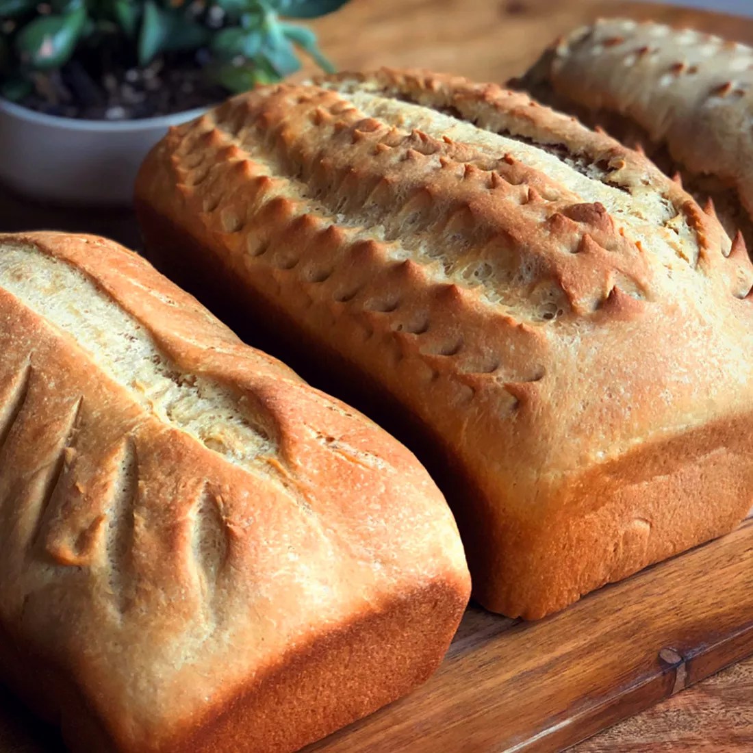 Irresistible Whole Wheat Bread Recipe