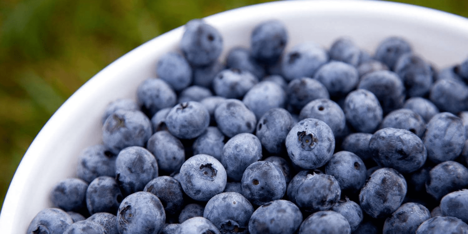 Unveiling the Mystery: The Truth Behind Blueberries’ Weight Dis