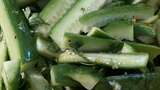 Refreshing Cilantro Lime Cucumber Salad