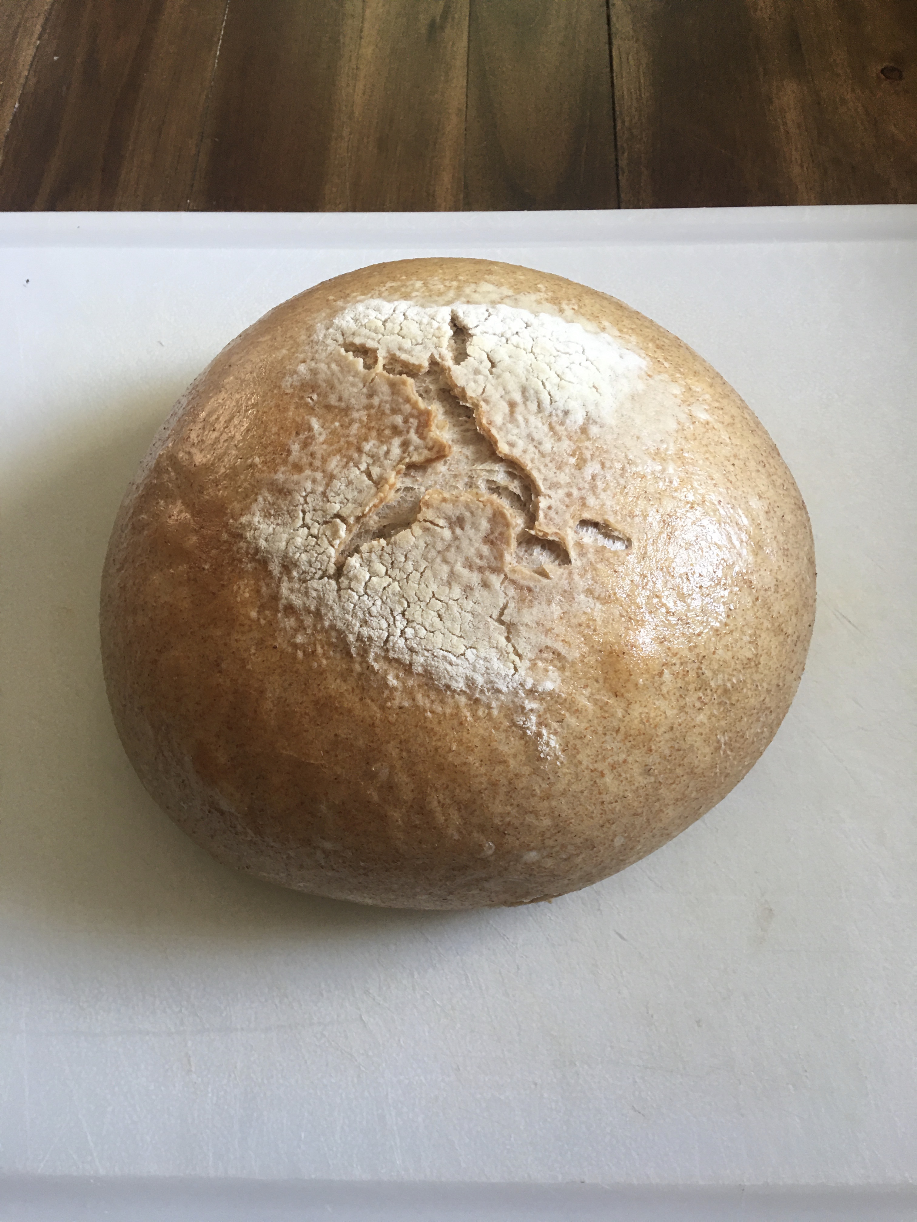 Unbelievably Easy Instant Pot Bread!
