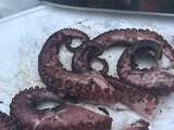 Unforgettable Grilled Octopus Recipe: Prepare to Be Amazed!