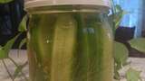 Irresistible Horse-Radish Infused Pickles