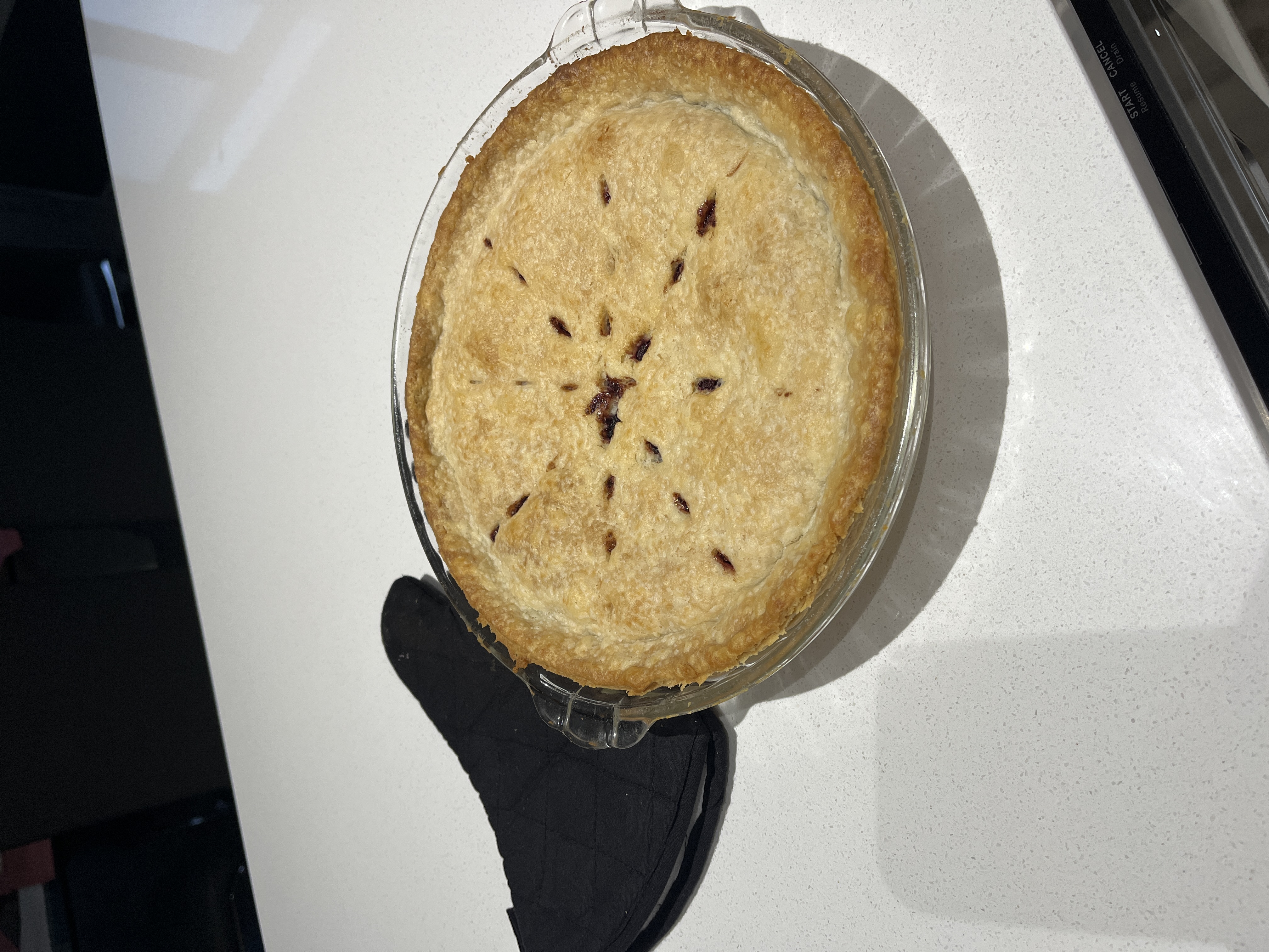 Unbeatable Saskatoon Pie Recipe: A Mouthwatering Delight