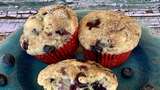 The Ultimate Blueberry Cupcakes: A Taste Sensation!