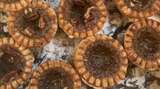 Butter Tarts That Will Blow Your Mind!