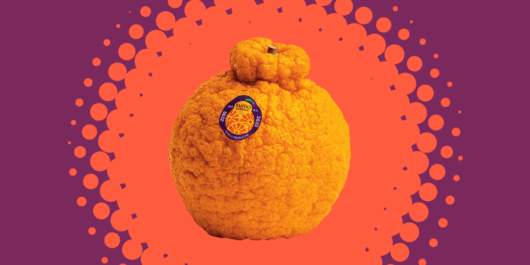 Unveiling the Secrets Behind Sumo Mandarins: The In